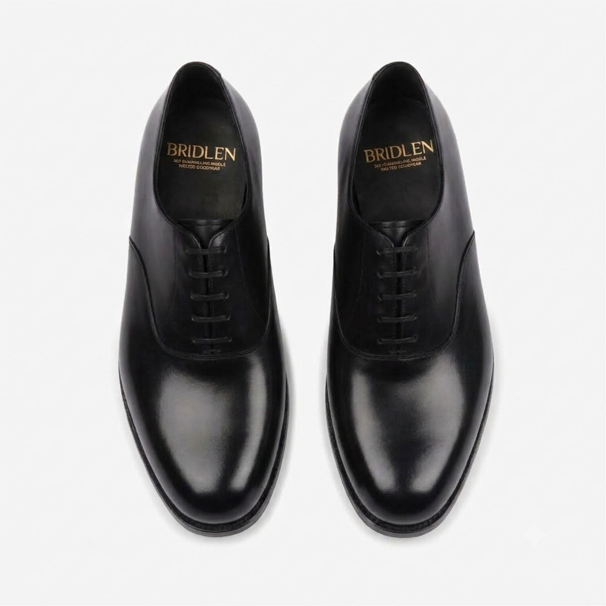 Plain Oxford | Black - Mod Last